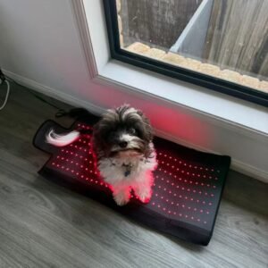 mypettharapygallary 1